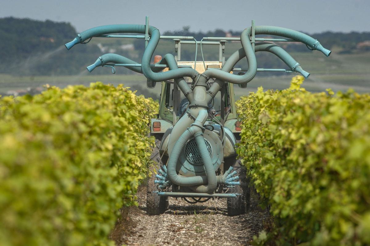 le député vert bordelais veut une loi pour écarter les pesticides des habitations