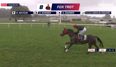 Strasbourg : le Grand Steeple pour Fox Trot
