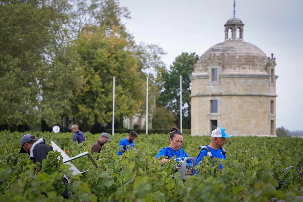 Des vendangeurs devant la célèbre tour qui a donné son nom à la propriété.