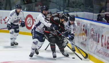 Hockey (Ligue Magnus). Bordeaux reçoit Amiens pour sortir de sa spirale négative