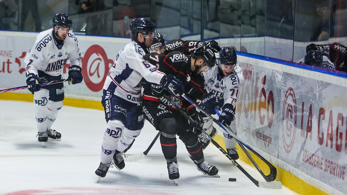 Hockey (Ligue Magnus). Bordeaux reçoit Amiens pour sortir de sa spirale négative