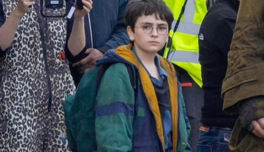 Harry Potter dans la série