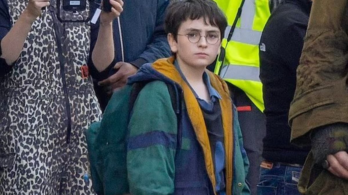 Harry Potter dans la série