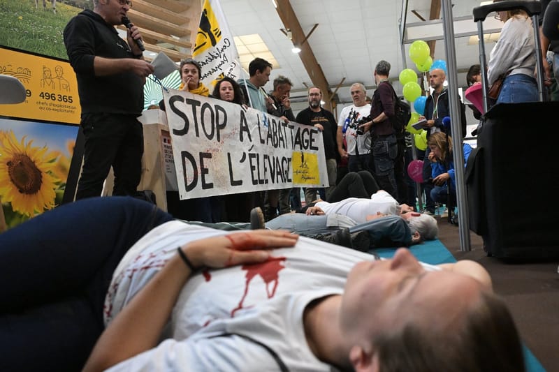 Une banderole "Stop à l'abattage de l'élevage" lors d'une action symbolique de membres de la Confédération Paysanne, allongés sur le sol, au cours de la visite de la ministre sortante de l'Agriculture, Annie Genevard, au salon international de...