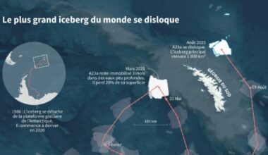 Un iceberg géant vieux de 39 ans fond au large de l'Antarctique : Actualités