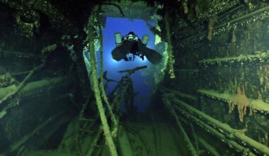 un siècle après son naufrage, les premiers objets récupérés dans l’épave du Britannic, jumeau du Titanic
