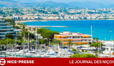 loyers en forte progression, prix des ventes stables et analyse complète des tendances du marché