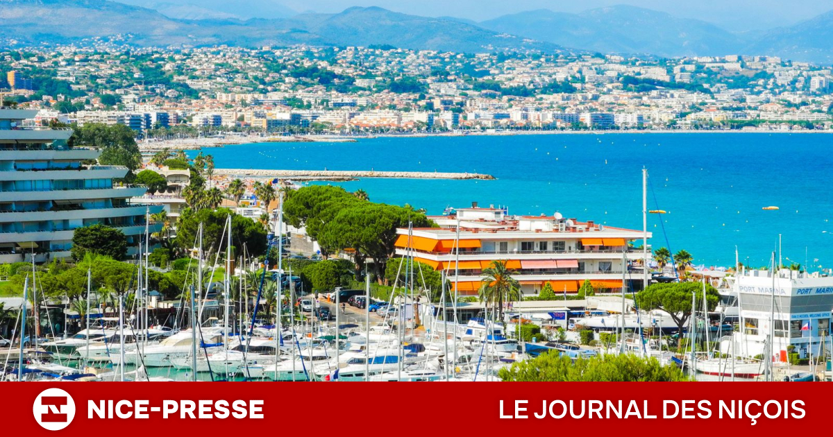 loyers en forte progression, prix des ventes stables et analyse complète des tendances du marché