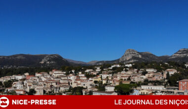 prix au m² en légère hausse, loyers stables et comparaison avec la moyenne des Alpes-Maritimes en 2025