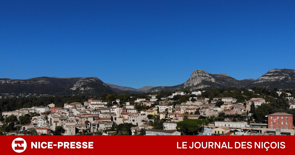 prix au m² en légère hausse, loyers stables et comparaison avec la moyenne des Alpes-Maritimes en 2025