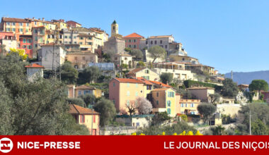 prix en forte hausse annuelle, loyers en recul et comparaison avec les tendances du département en 2025