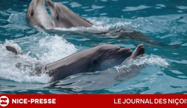vrais espoirs, coûts colossaux et délais encore très flous