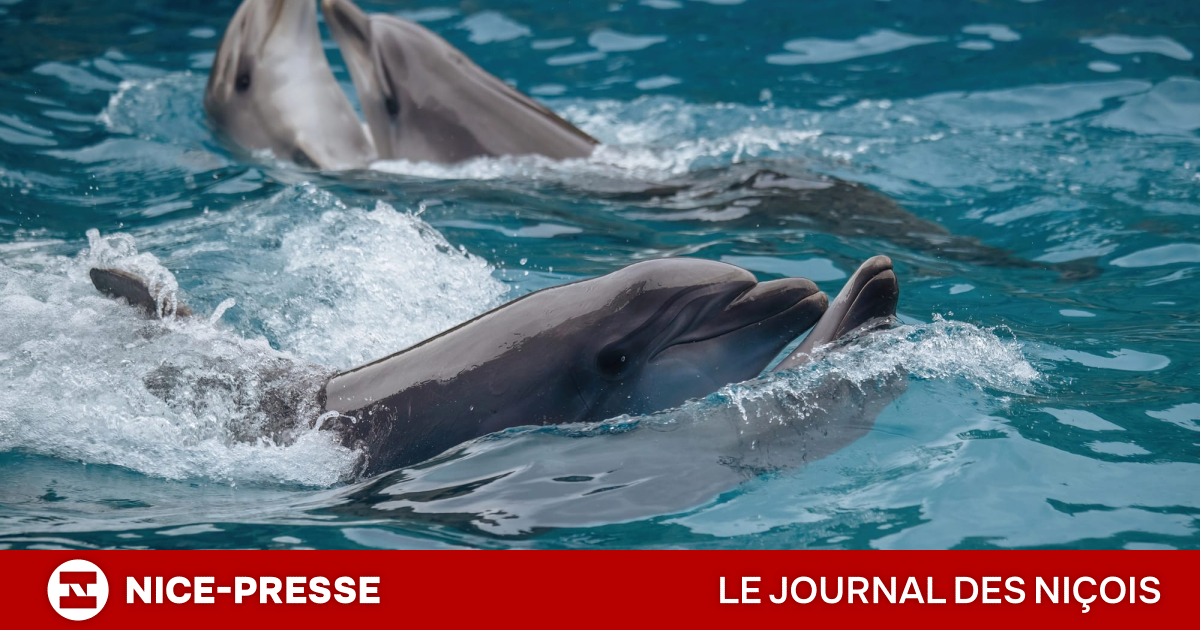 vrais espoirs, coûts colossaux et délais encore très flous