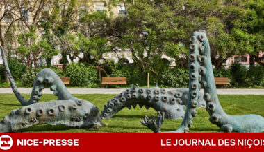 223.000 visiteurs et un triomphe pour l’expo "Matisse Méditerranée(s)"