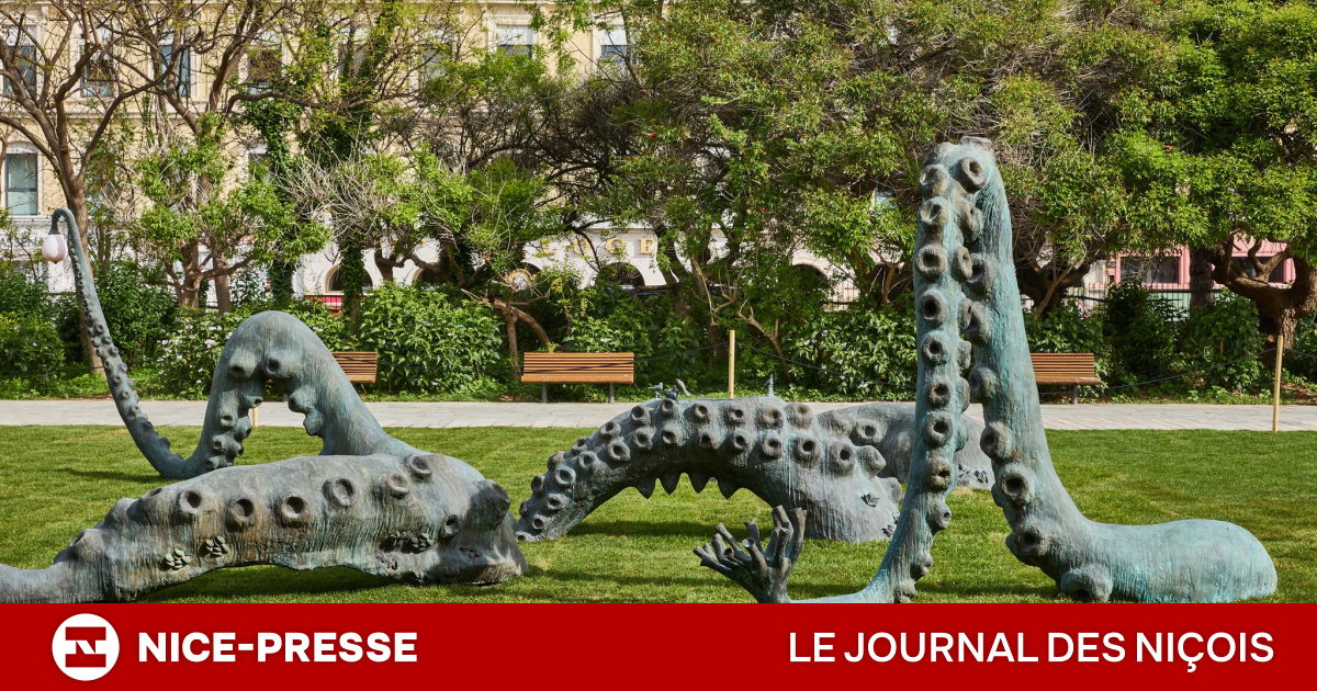 223.000 visiteurs et un triomphe pour l’expo "Matisse Méditerranée(s)"