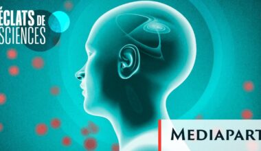 Le cerveau parle à l’immunité. Et vice versa - Mediapart