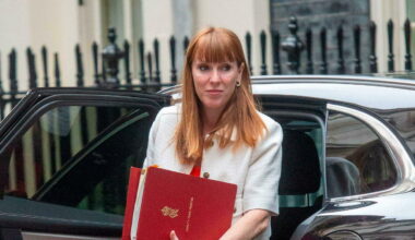 pourquoi la numéro deux du gouvernement a démissionné