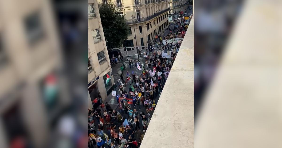 Paris, Strasbourg, Bordeaux... Des milliers de manifestants marchent pour le climat et la justice sociale