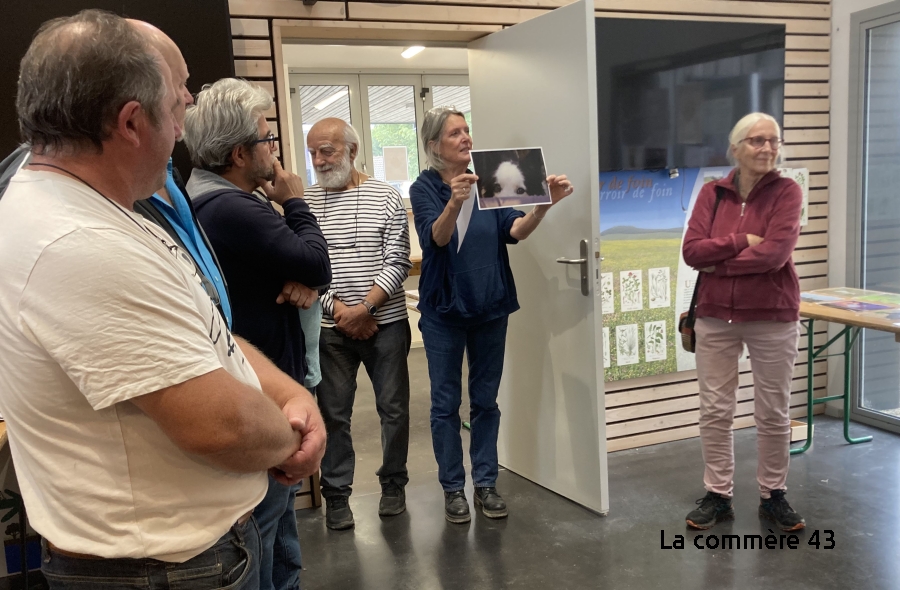 Freycenet-la-Tour : 55 propositions au concours photos