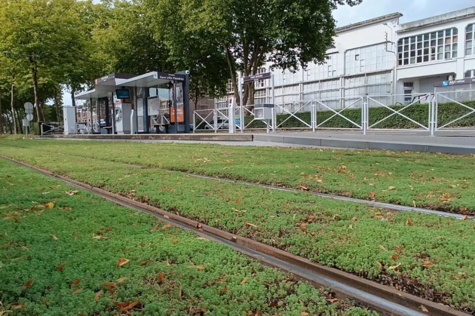 tramway travaux