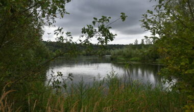 En Seine-et-Marne, un nouvel espace protégé a été créé là où des mammouths ont été retrouvés