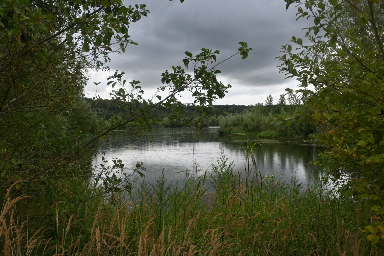 En Seine-et-Marne, un nouvel espace protégé a été créé là où des mammouths ont été retrouvés