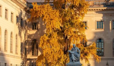l’Allemagne championne hors du monde anglophone
