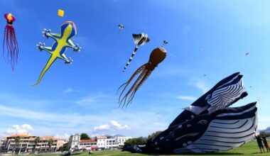 On s'envole au Prado avec la Fête du vent !
