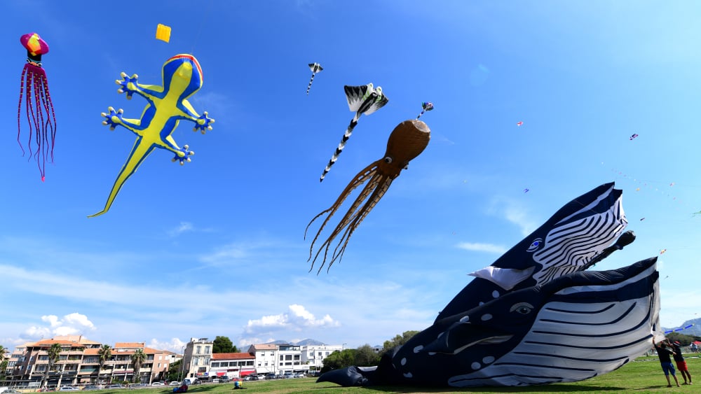 On s'envole au Prado avec la Fête du vent !