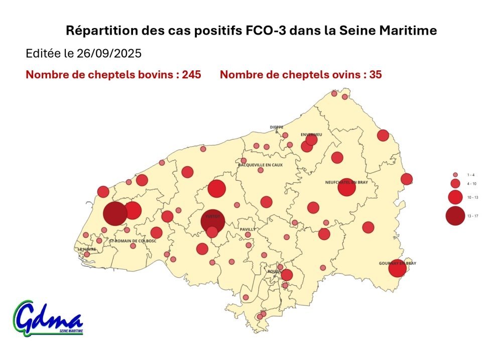 La situation au 26 septembre démontre la forte présence de la FCO 3 en pays de Caux
