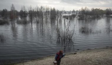 Les tourbières en Europe pour faire face aux blindés russes et au réchauffement climatique