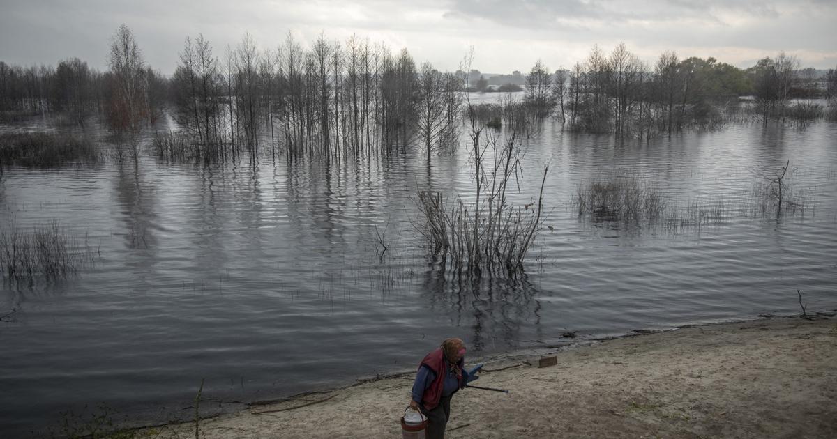 Les tourbières en Europe pour faire face aux blindés russes et au réchauffement climatique