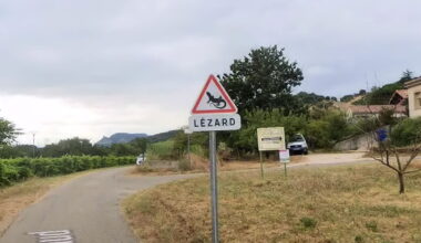 attention à ces animaux de 90 centimètres de long