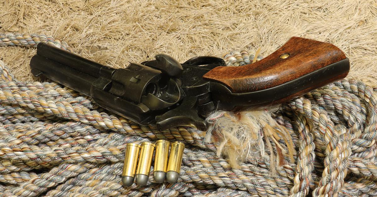 huit armes à feu retrouvées chez un homme qui avait menacé par téléphone une élue