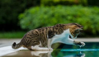 Page d'accueil Yahoo style