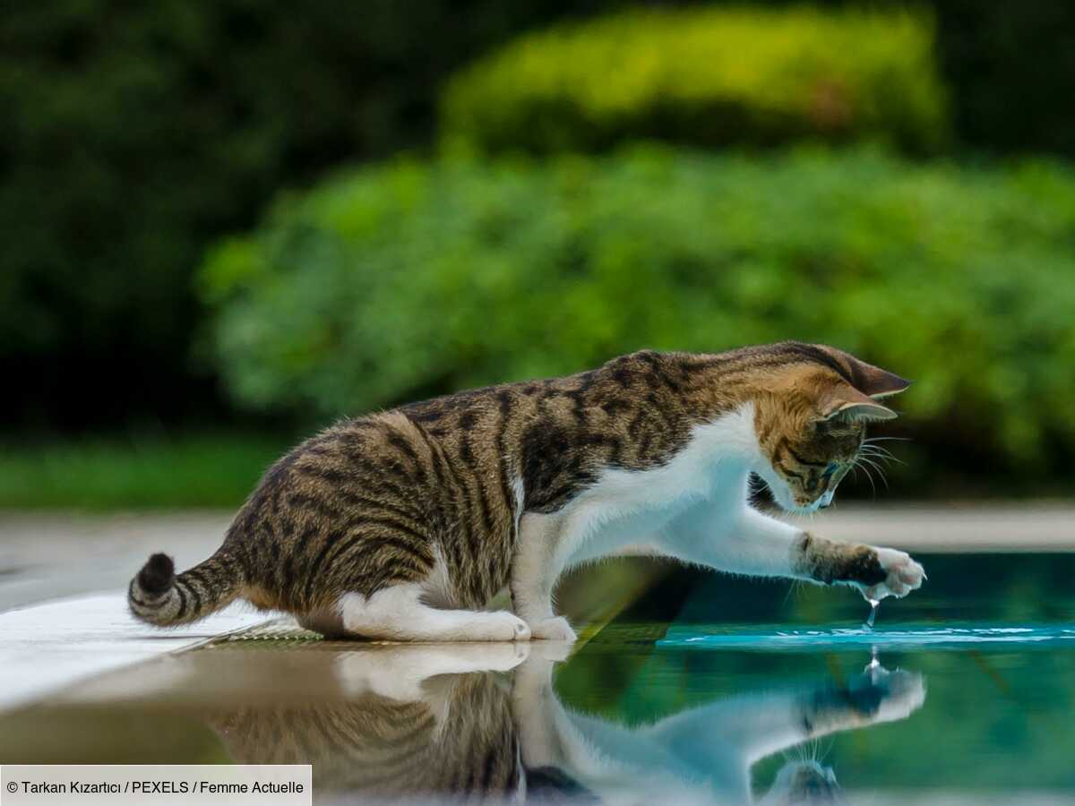 Page d'accueil Yahoo style