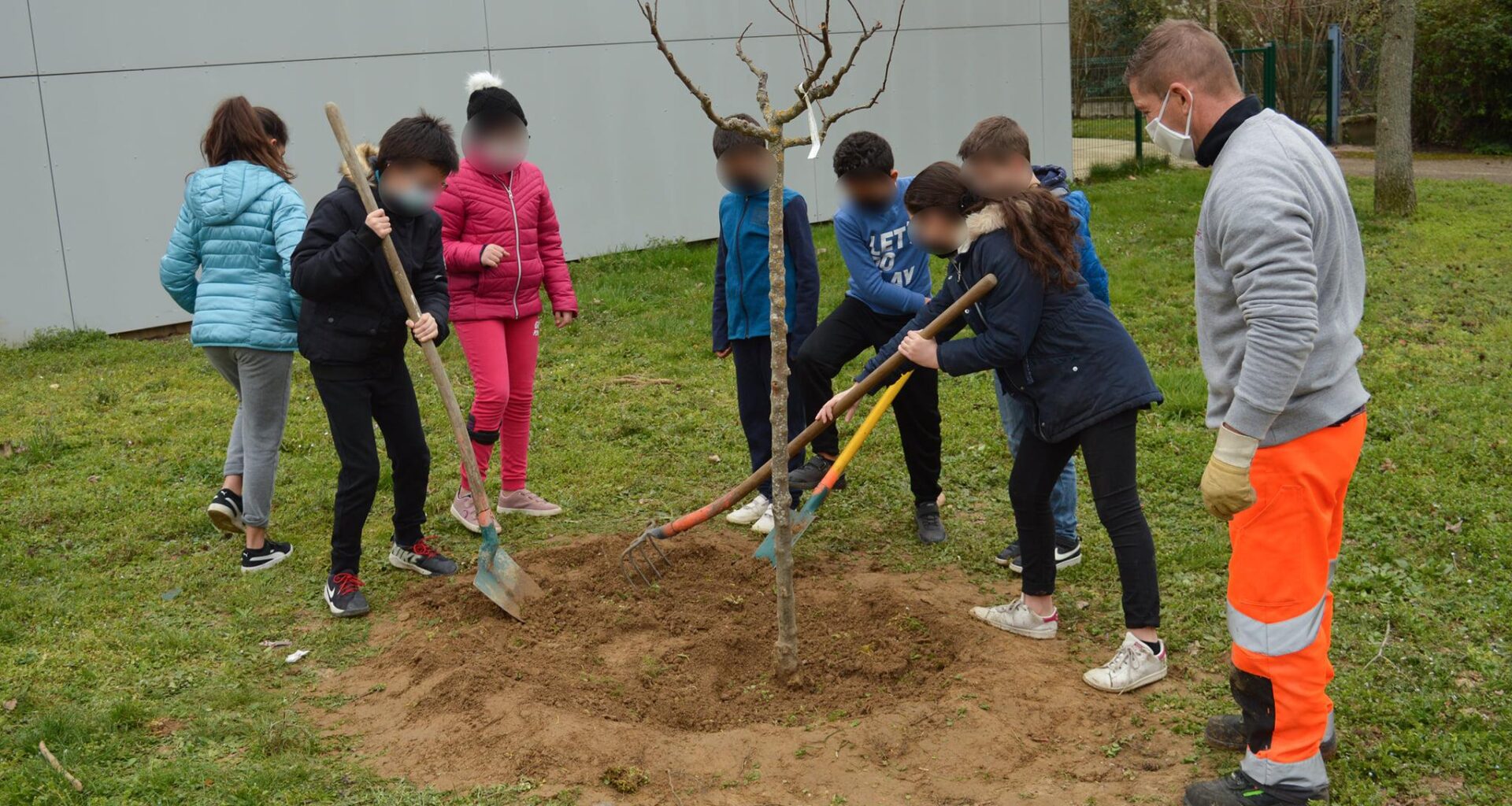 La Métropole de Lyon vous offre... un arbre !