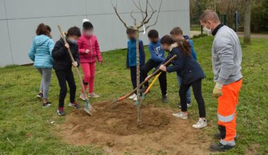 La Métropole de Lyon vous offre... un arbre !