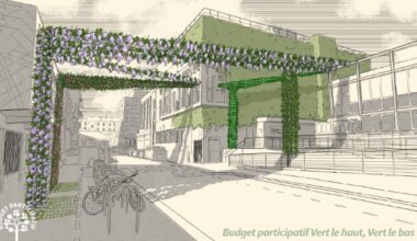 Illustratioin du projet de Budget Participatif "Vert le haut, vert le bas"