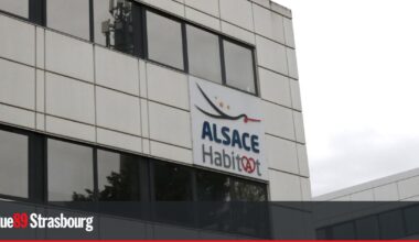Mercredi 17 septembre, rassemblement de soutien aux locataires d'Alsace Habitat