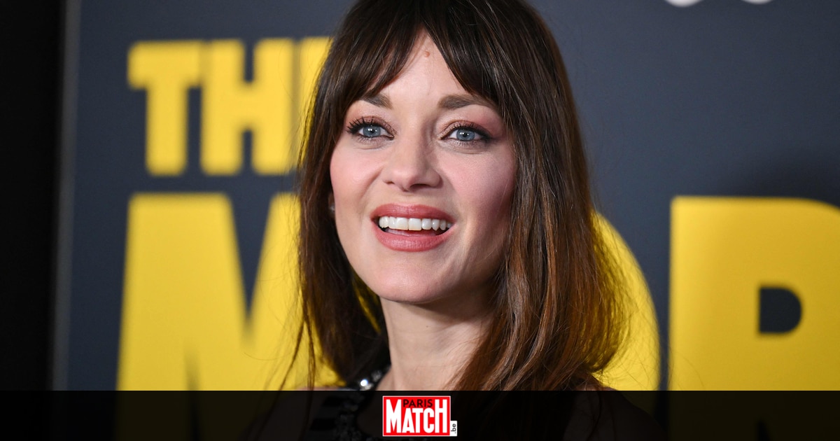 "Et vous ça va ?": malaise sur le plateau du JT de France 2 après une question maladroite de Léa Salamé à Marion Cotillard