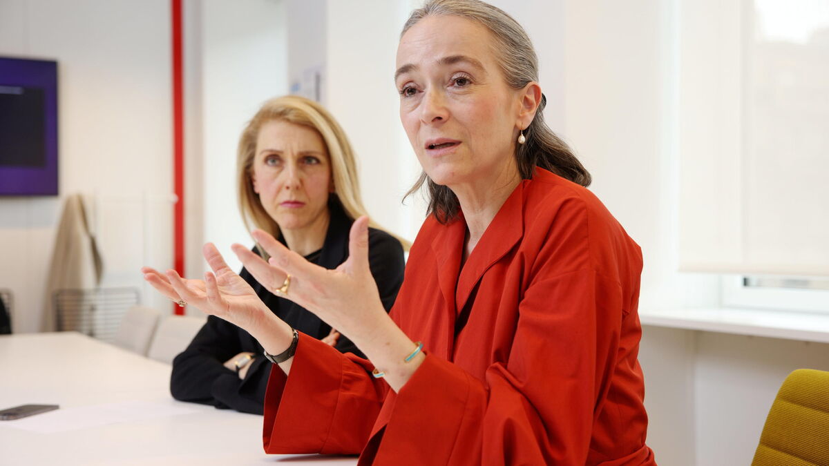 Affaire Cohen-Legrand : France télévisions et Radio France accusent les médias Bolloré d’une « campagne de dénigrement systématique »