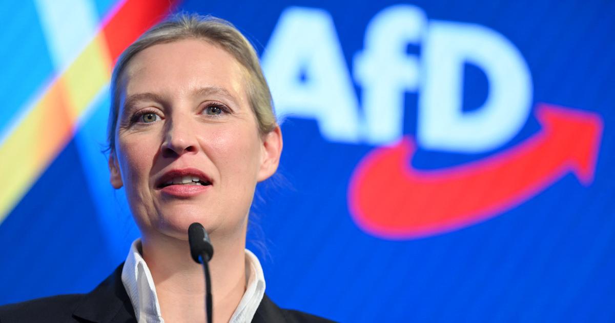 six candidats nationalistes de l’AfD meurent à quelques jours des élections en Allemagne