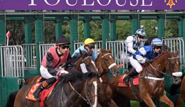 ​​​Toulouse. La diversification, le cheval de bataille de l'hippodrome de la Cépière
