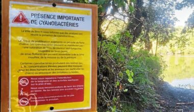 La baignade interdite aux étangs d’Apigné près de Rennes : voici pourquoi