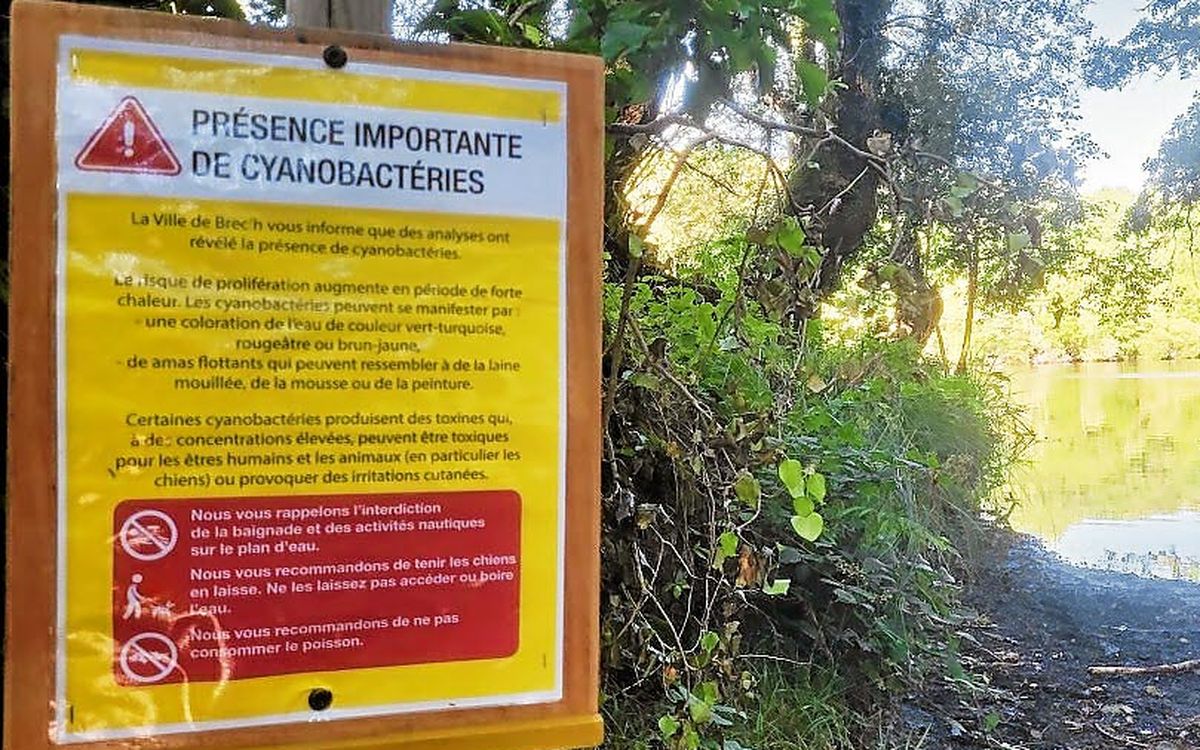 La baignade interdite aux étangs d’Apigné près de Rennes : voici pourquoi