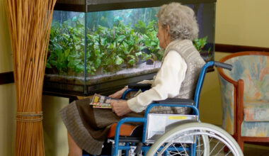 ils se faisaient passer pour de faux plombiers pour voler des seniors, ils sont condamnés
