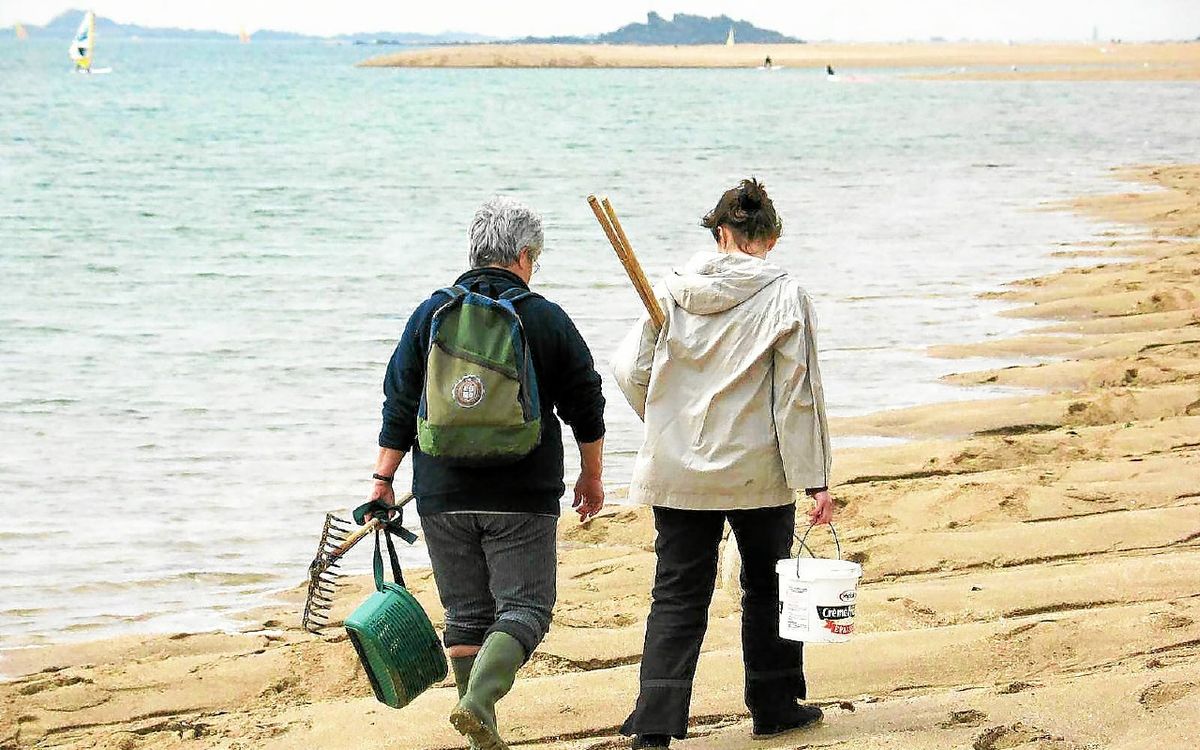 En Ille-et-Vilaine, quatre jours de grandes marées sont attendus