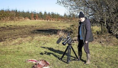 « On ne le voit pas, c’est un fantôme » : le documentariste douarneniste Mathurin Peschet sur les traces du loup dans le Finistère