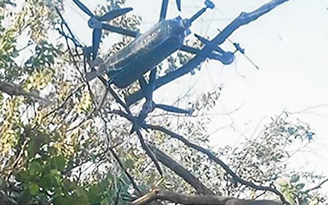 Les filets empêchent les drones de larguer leur charge explosive.